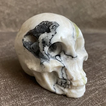 371g Naturale, Lemn Pietrificat Craniu de Cristal Lustruit Rock Străin Sculptură de Vindecare Reiki