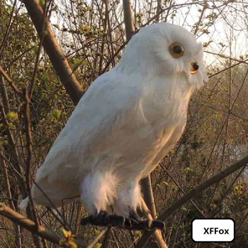 alb simulare owl model spuma&pene viața reală bufniță pasăre cadou de 30cm d0113